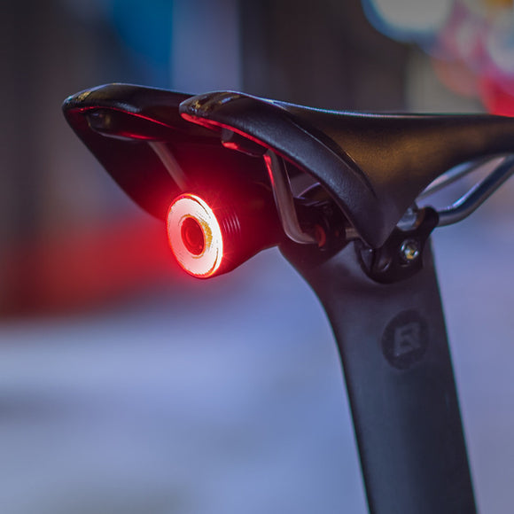 ROCKBROS Q5 Smart Auto Brake Sensing Bike Rear Light IPx6 Waterproof LED Bicycle Light USB Charging Taillight Bike Accessories
