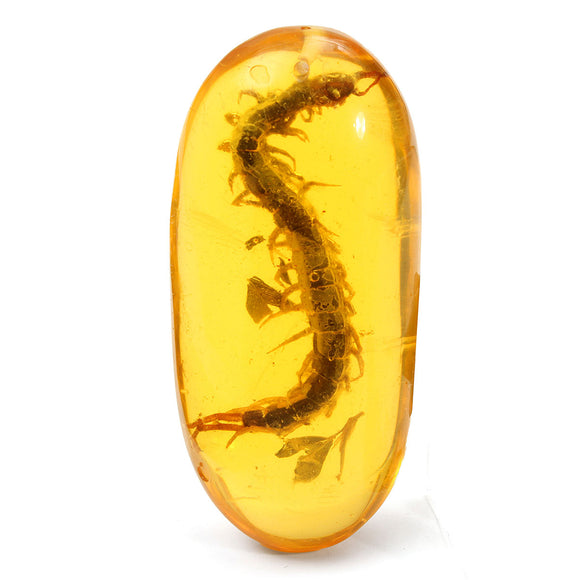 Real Centipede Pendant Amber Yellow Plants Insects Decoration DIY Accessories