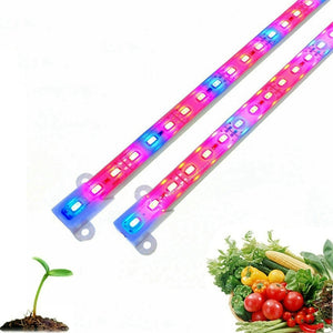 DC12V 6W 50cm 5630 SMD Red: Blue 3:1/5:1 Grow Rigid Strip Non-waterproof Plant Greenhouse Light