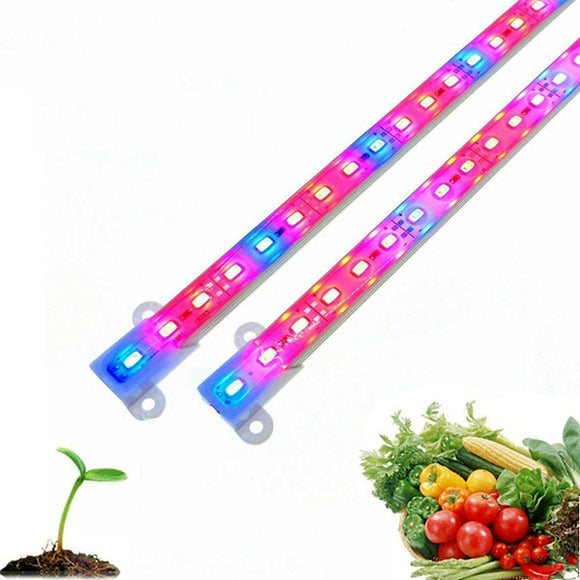 DC12V 6W 50cm 5630 SMD Red: Blue 3:1/5:1 Grow Rigid Strip Non-waterproof Plant Greenhouse Light