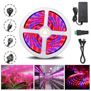 5M R:B 4:1 Waterproof 5050SMD 300 Full Spectrum Grow LED Strip Lights kit For Plant Veg DC12V