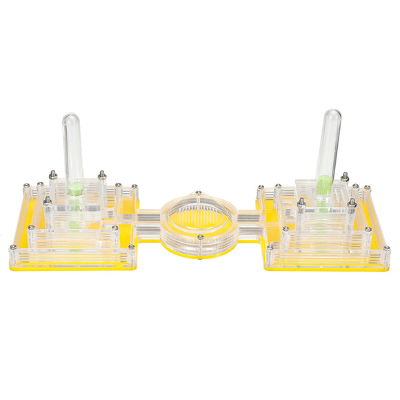Acrylic Ant Feeding Box Housing Home Ant Farm Castle Villa Nest W/ Dropper