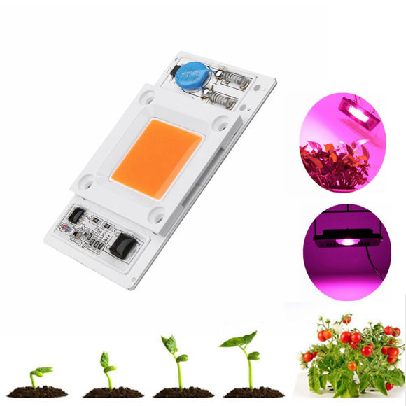 LUSTREON 50W Non-drive Thunder Protection COB LED Chip for DIY Grow Light Plant Lamp AC180-300V