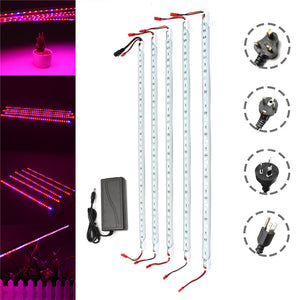 DC12V 5PCS 50CM Waterproof SMD5050 Red:Blue 5:1 36LED Strip Plant Garden Grow Light+5A Power Adapter