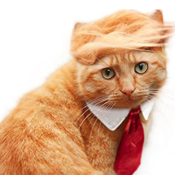Pet Dog Cat Trump Style Cat Wig Pet hair Costume Head Wear Apparel Toy for Christmas Parties