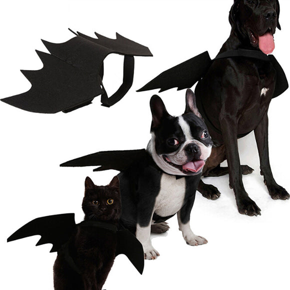 Halloween Cat Bat Wings Collar Harness Decor Puppy Pet Cat Black Bat Dress Up Funny Wing Cat Clothes