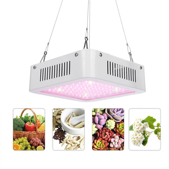 100W Square 96 LED Grow Light Red: Green 8:1 Full Spectrum Kit Indoor Plant Lamp AC100-240V