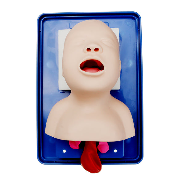 Intubation Manikin Study Teaching Model Baby Infant Airway Management Trainer Medical Model