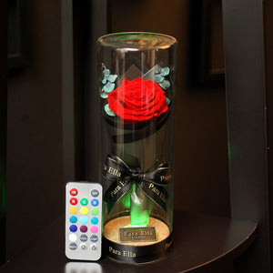 Para Ella Preserved Fresh Rose Flower with Fallen Petals in Glass Dome on a Wooden Base Decorations