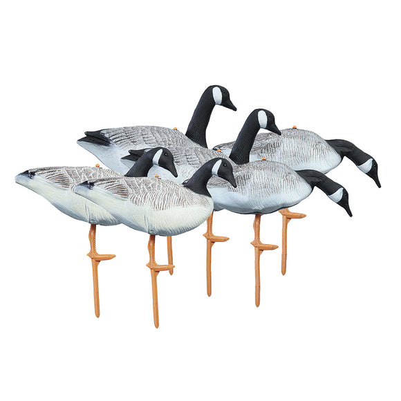 6PCS XPE Eating Standing Resting Goose Hunting Decoy