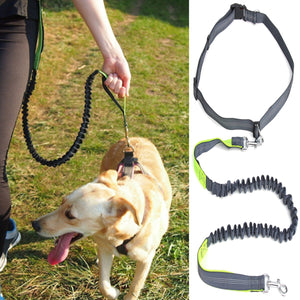Hands Free Leash Dog Lead With Waist Belt For Jogging Walking Running Adjustable