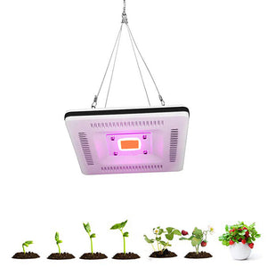 ARILUX 50W Full Spectrum LED Plant Grow Hanging Flood Light Waterproof Thunder Protection 220-240V