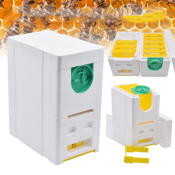 Auto Beekeeping Queen Rearing Box Supplies Beehive Foam Double layer Tools Set