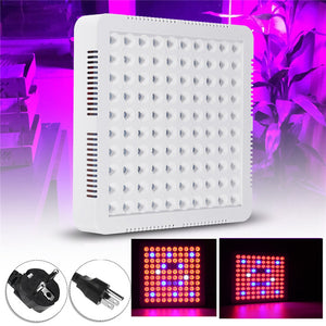 300W LED Grow Light Hydroponic Full Spectrum For Veg Flower Indoor Plant Seeds