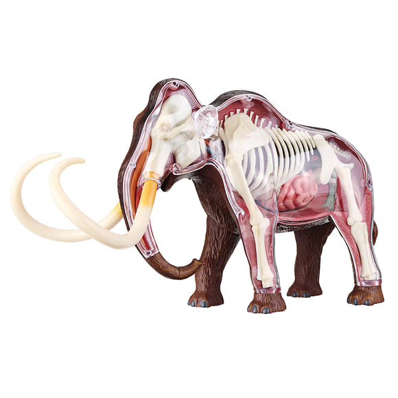 4D Master STEM Simulation Mammoth Anatomical DIY Assembly Model Gift Collection Science Toy