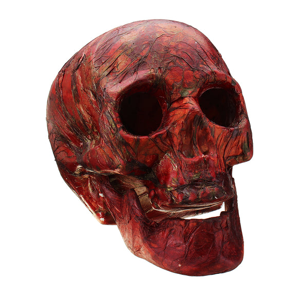 Halloween Human Skeleton Head Horror Scary Gothic Skull Prop Home Party Decorations