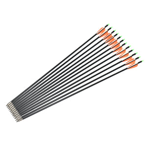 12Pcs 31 Fiberglass Archery Hunting Arrows Rubber Feather For Compound Bow Recurve Bow Target Sport"