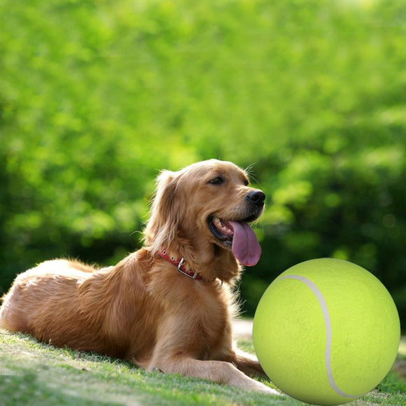 Yani DCT-2 Squishy Giant Tennis Ball Dog Toy Chewing Sport Outdoor Game Throw Run Fetch 24CM