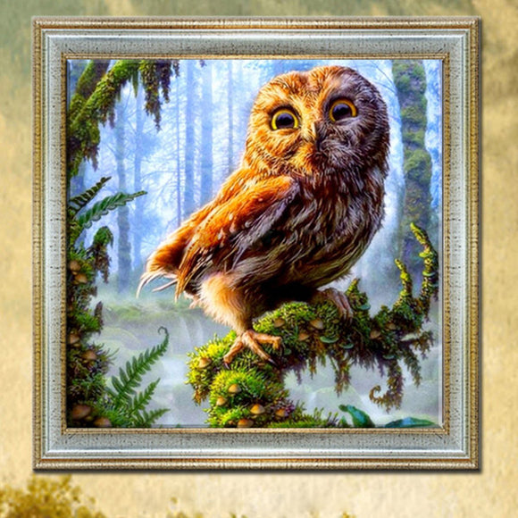 30x30cm 5D DIY Owl Diamond Painting Resin Full Rhinestone Home Decoration Animal Cross Stitch Kit