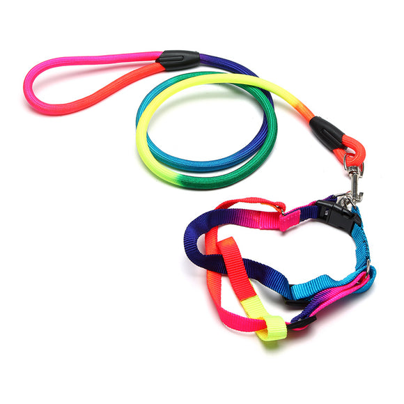Yani HG-PC2 Pet Dog Colorful Belt Leash Attractive Cool Nylon Collar Adjustable Dog Cat Belt