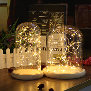 Clear Glass Display Dome Cloche Bell Jar Wooden Base DIY Decorations With 20 LED Fairy String Light