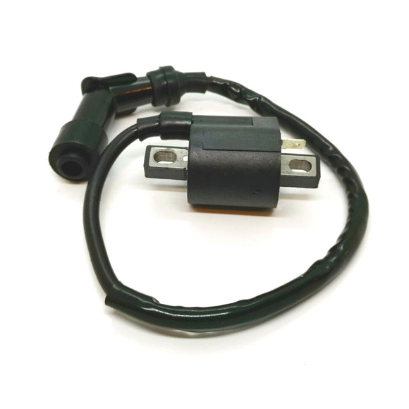 Ignition Coil For Yamaha TTR50 TTR225 TTR125 TTR250 TTR230 TTR90 TTR110 YFM350