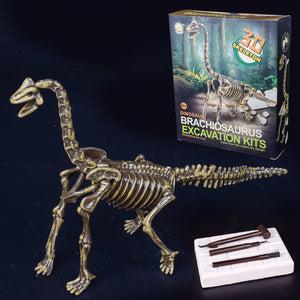 DIY 3D Dinosaur Skeleton T-rex Archaeological Excavation Toys Stegosaurus Triceratops Brachiosaurus
