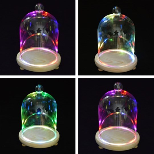 Colorful LED Night Light Dried flower Dust Cover Light  Home Decor Gift for Valentine's Day DC 4.5V