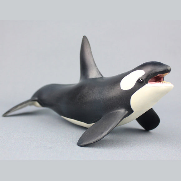 Killer Whale Killer Whale Killer Whale Simulation Marine Life Plastic Whale Animal Diecast Model