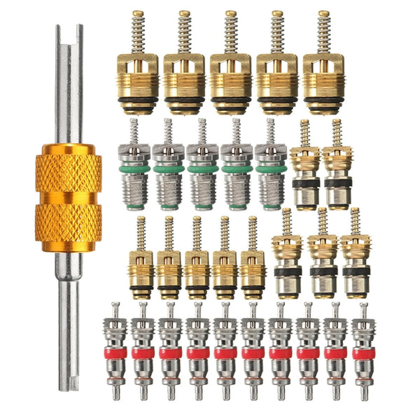 31pcs Car A/C Valve Cores Key Dual Remover Installer Tool Kit For R134A R12 Refrigeration