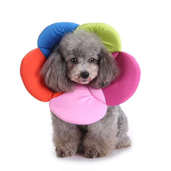 Dogs Neck Protector Collar Anti Bite Beauty Adjustable Protector Cover Ring Pet Flower Neck Collar