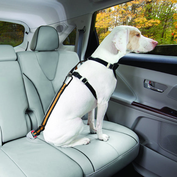 Carosets Dog Cat Seat Belt Puppy Seat Belt Harness Lead Clip Universal for All Cars