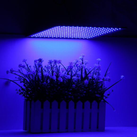 225LED Grow Light Blue Lamp Ultrathin Panel Hydroponics Indoor Plant Veg Flower AC85-265V