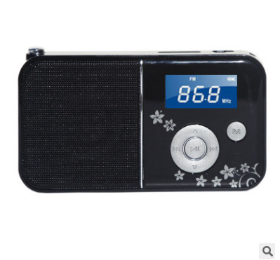 Panda DS-111 FM Radio TF Card Portable Computer Speaker WMA MP3 Music Player