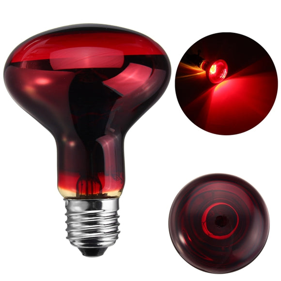 25W 40W 50W 60W 75W 100W R80 Red Infrared Basking Heat Reptile Bulb Light AC220-240V