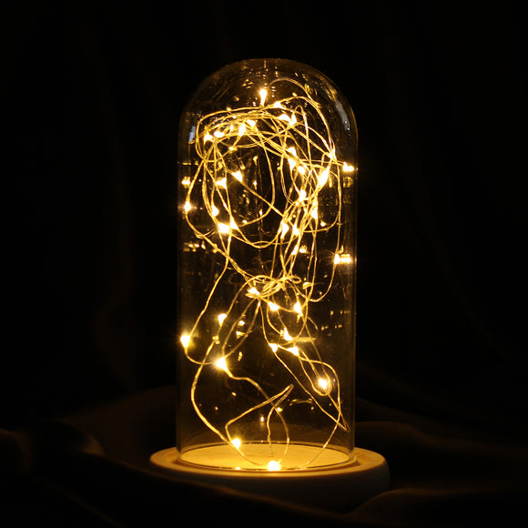 9*20cm Glass Dome Bell Jar Cloche Display Wooden Base With Fairy LED Lights Decorations