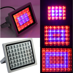 20/30/50W High Power Plant LED Grow Lamp Grid Spotlights Indoor Flowers Growth Light Red Blue Lights