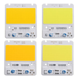 50W LED COB Chip Integrated Smart IC Driver for Flood Light AC110V / AC220V