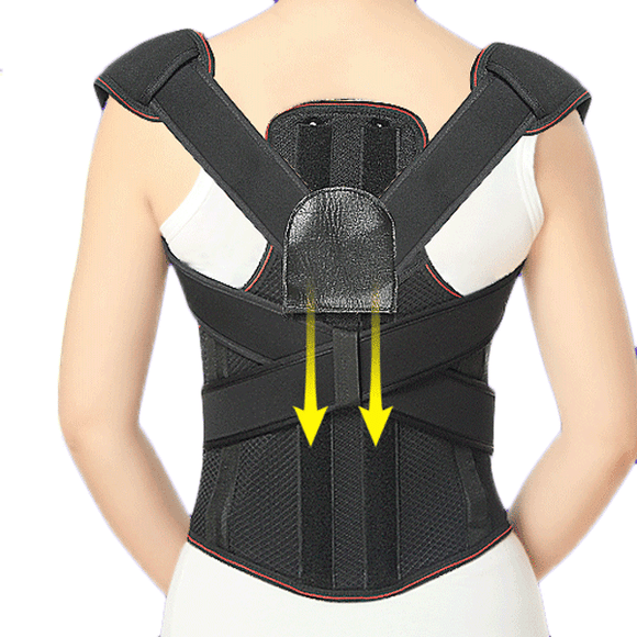 Adjustable Posture Belt – bizixpo