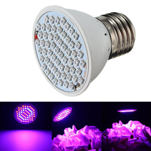 4W E27 60 LED Grow Light Indoor Red+Blue Hydroponic Plants Veg Lamp