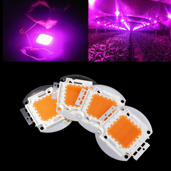 20W/30W/50W/100W LED Grow Light Chip Full Spectrum 380-840NM DIY Plant Lamp DC30-36V