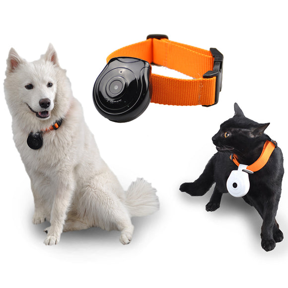 480P Black Dog Cat Puppy Pet Mini Camera Outdoor Sport Video Recorder Camcorder