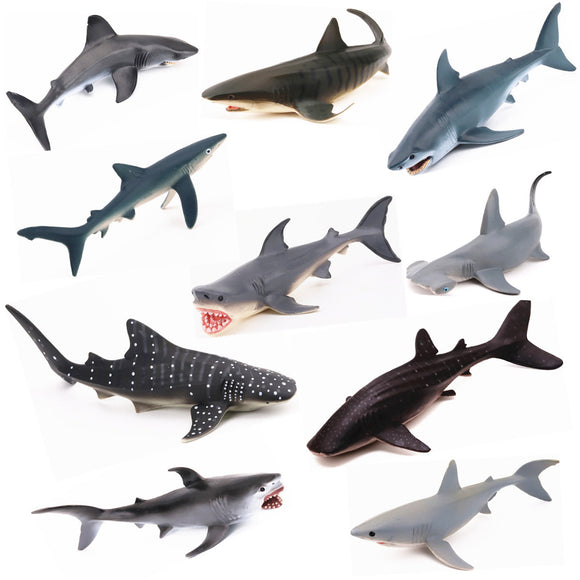 Realistic Ocean Animal Model Marine Animal Solid Whale Shark Series Science Education Puzzle Toys