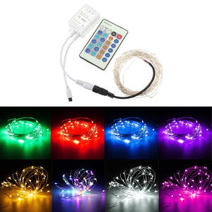 12V 5M 50LED Silver Wire Christmas String Fairy Light Remote Controller without Adapter