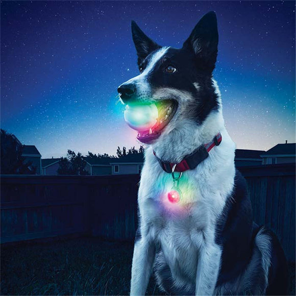 Pet Dog Training Electronic LED 7 Color Flashing Luminous Dog Pet Toys