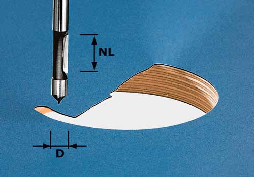 FESTOOL DRILLING CUTTER HW S8 D8/19 491037