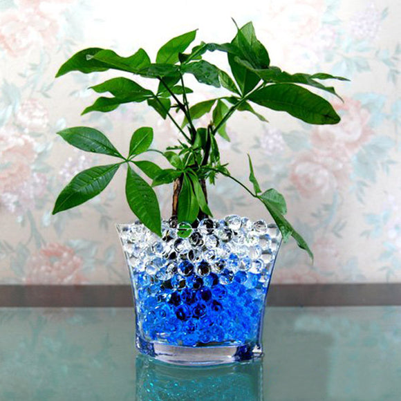Magic Moisturizing Crystal Mud Soil Water Beads For Flower Planting