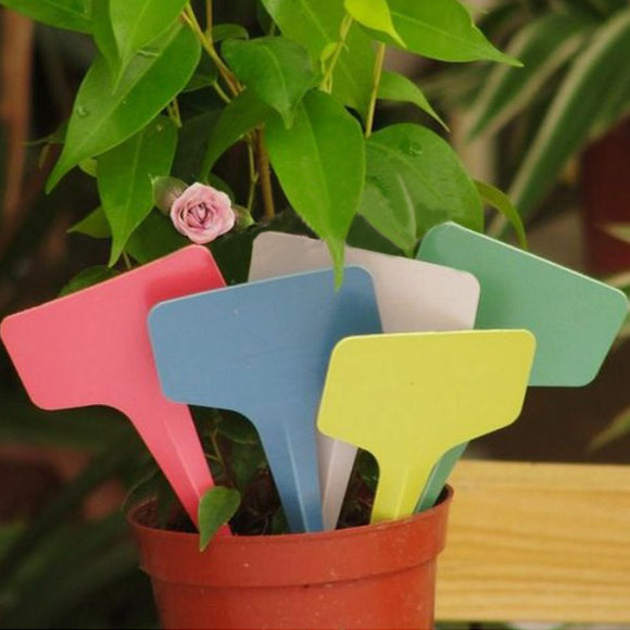 100pcs 6x3CM Gardening Plastic Plant Flower T-type Tags Marker Labels