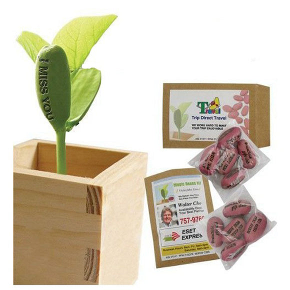 Wooden Mini Bonsai Magic Bean Seed Desktop Bonsai Plants