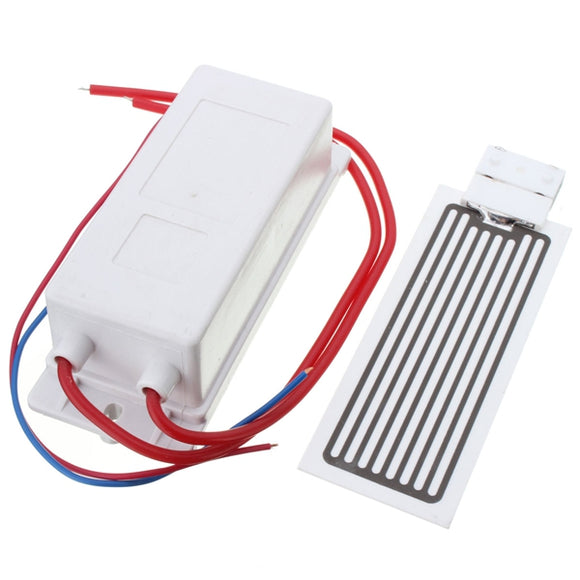 220V 10g Ozonater Ozone Generator with Ceramic Plate For Water Plant Air Cleaner